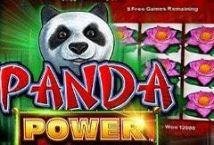 Panda Power slot